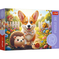 DZIEŃ Z CORGIM *30*