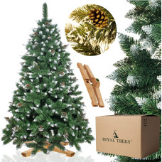 Springos CT0192 Mākslīgā Ziemassvētku eglīte 240 cm Premium Royal Trees, sniegota dimanta priede ar čiekuriem