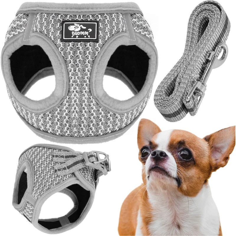 Springos Bezpiediena suņu un kaķu siksnu komplekts Springos PA0237, M 9-13 kg + 150 cm pavada, pelēka