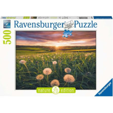 Ravensburger Puzzle Pusteblumen im Sonnenunt. 500p 16990