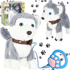 Interaktīvs rotaļsuns (haskijs) uz pavadas — rej, pastaigājas un vicina asti