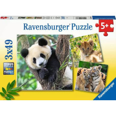 Ravensburger Puzle 3x49 gab. Panda, lauva un tīģeris