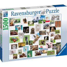 Ravensburger puzzle Funny Animals Collage 1500p 16711