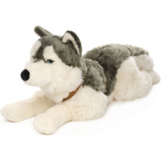 Uni-Toys Mīkstā rotaļlieta Husky ar pavadu, 62 cm