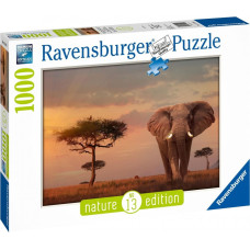 Ravensburger Puzle 1000 Masai Maras zilonis