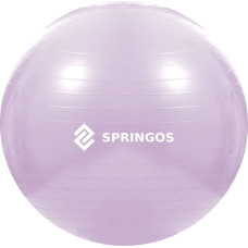 Springos Vingrošanas bumba ar pumpi Springos FB0011 65 cm