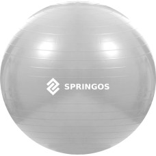 Springos Vingrošanas bumba ar pumpi Springos FB0008 75cm