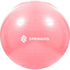 Springos Vingrošanas bumba ar pumpi Springos FB0012 75 cm