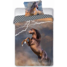 BEDDING SET HORSES 003 THUNDER 160X200+70X80 COTTON.YOUTH.