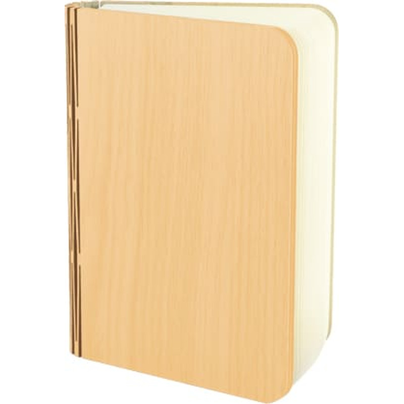 Strühm Galda lampa ALBUM LED 1,6W PINE WW CW