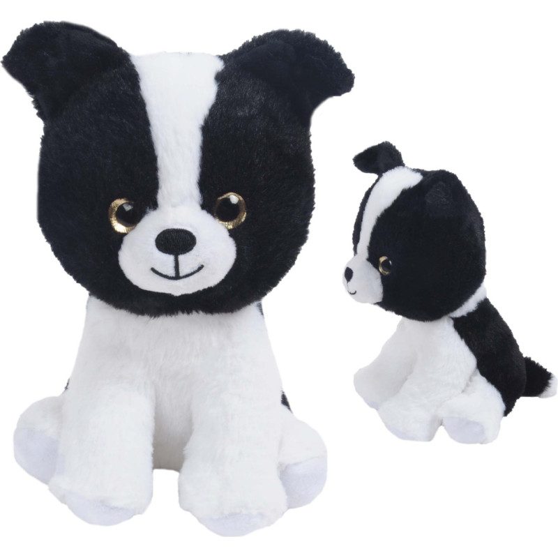 PIES BORDER COLLIE