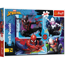 PAJĘCZE ZAGADKI SPIDERMAN *200*