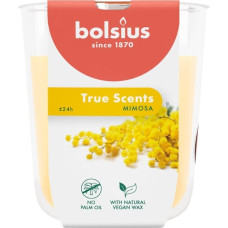 Bolsius Svece arom. stikla gl. True Scents &Oslash;80x73mm mimosa