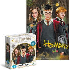 Dodo Attīstošā puzle Medium-S Harry Potter Harry and friends 250 pcs