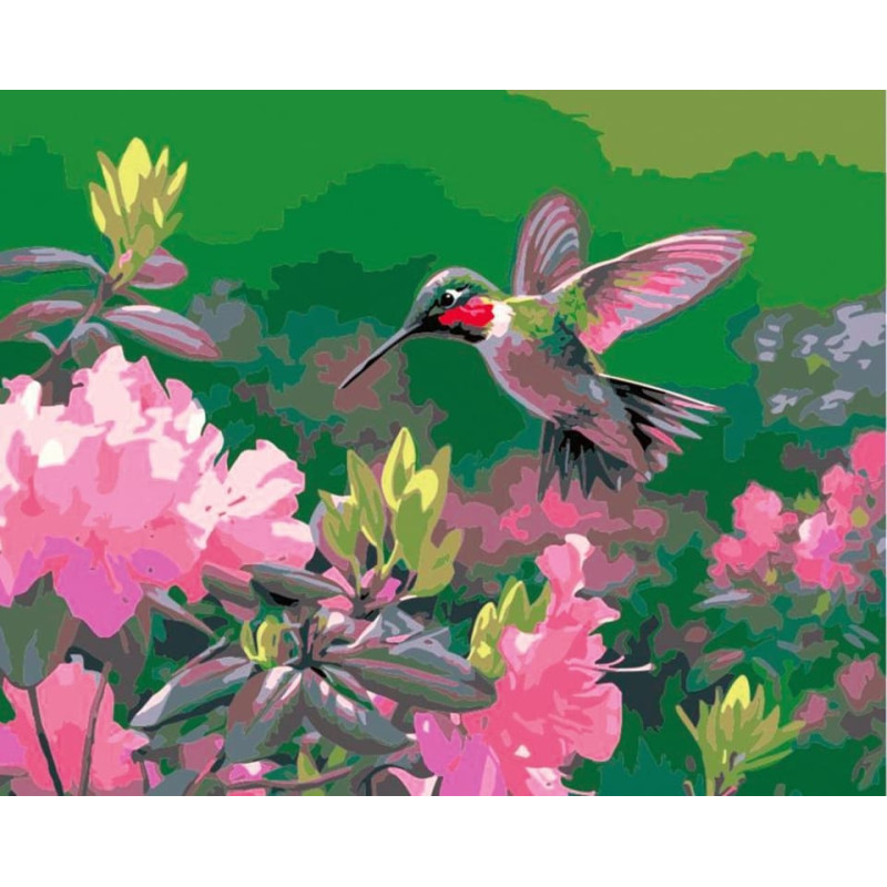 Flamingo Line Painting by the numbers - 50630 - HUMMING-BIRD - size 40x50 cm