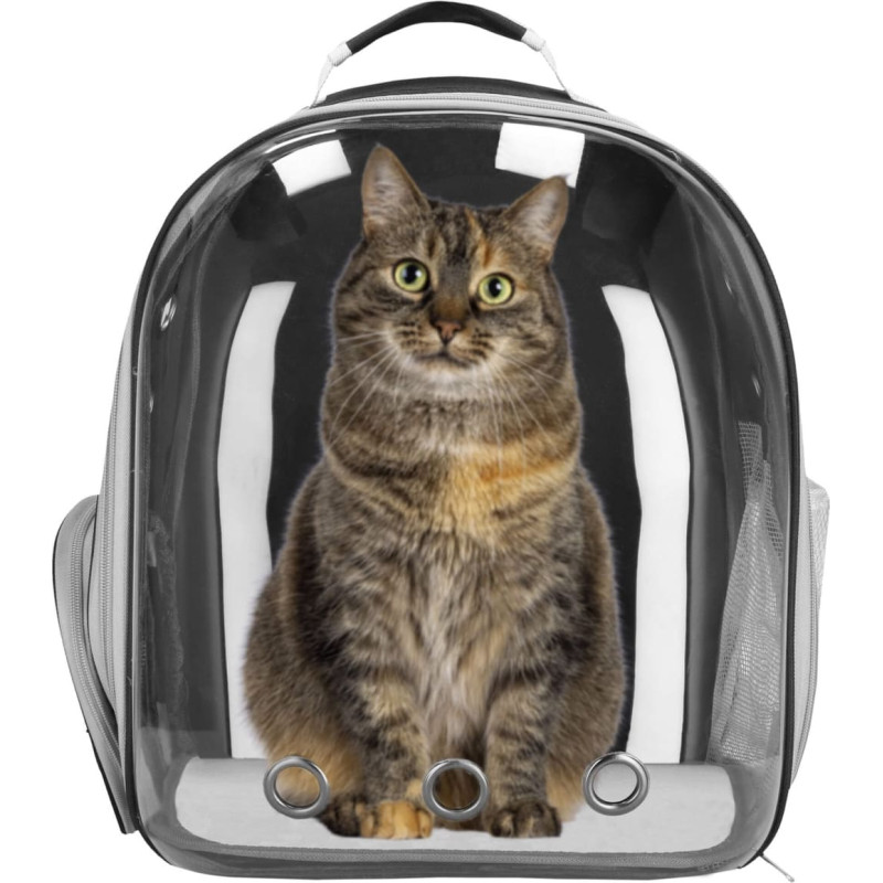 Springos Kaķa, truša, suņa pārnēsājamais transporta soma, mugursoma Springos PA0243 līdz 12 kg 40 x 32 x 22 cm, pelēka