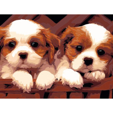 Flamingo Line Painting by the numbers - 50913 - 2 PUPPIES - size 40x30 cm