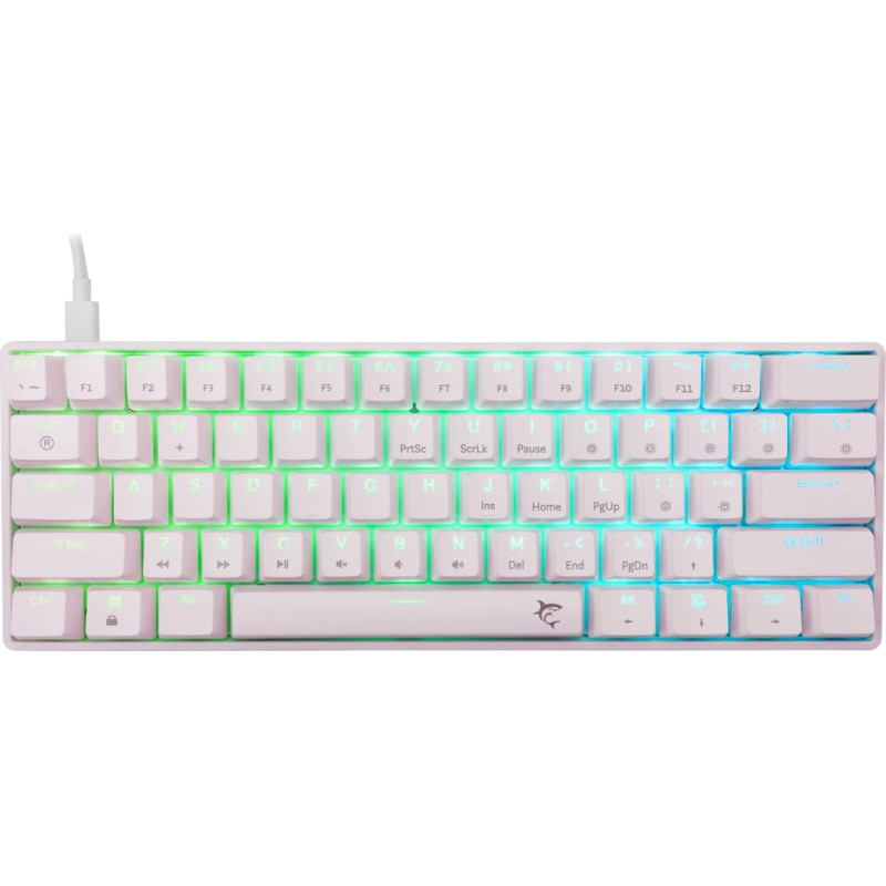 White Shark GK-004221 Shinobi-2  Blue switch, White US