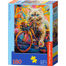 KOT NA KWIECISTYM ROWERZE *180*