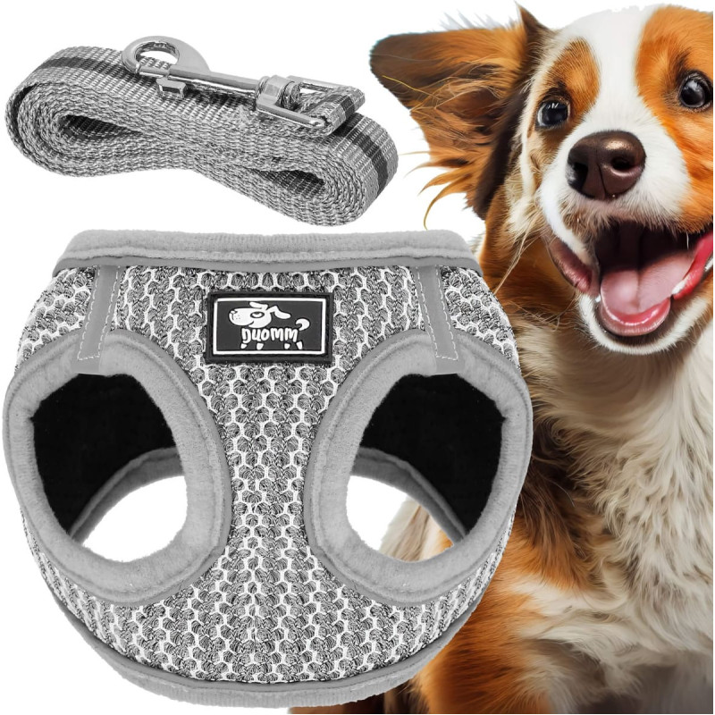 Springos Bezpiediena suņu un kaķu siksnu komplekts Springos PA0235, XS līdz 5,5 kg + 150 cm pavada, pelēka