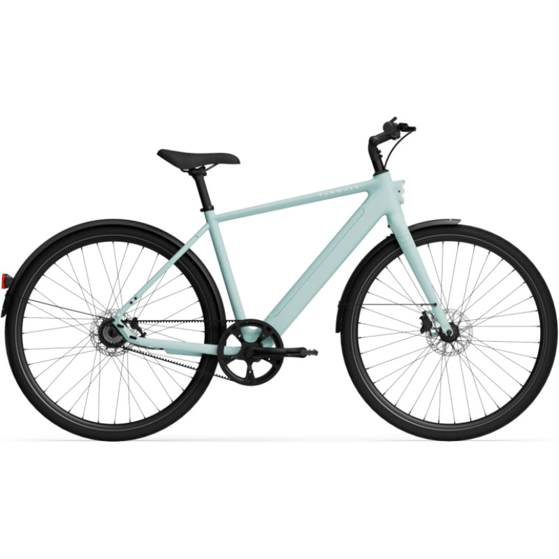 Tenways Elektrijalgratas TENWAYS CGO600 PRO, Mint Green (M)