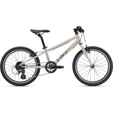 Giant &Uuml;likerge laste jalgratas GIANT ARX 20 (2025) Mushroom