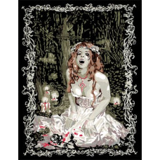 Ravensburger Krāsojama glezna - Favole Vampir