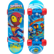 SKATEBOARD 17