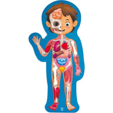 Hape human body puzzle, E1635