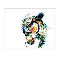 TSVETNOY Dimantu mozaīkas komplekts 30x40cm Great Horned Owl, LE016e