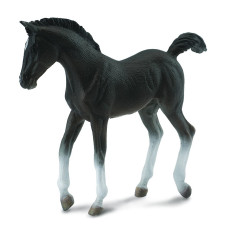 COLLECTA (S) American black trotter foal 88452