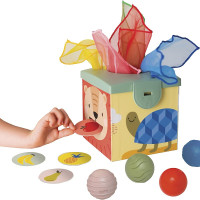Taf Toys attīstošā rotaļlieta Magic box 265920 (12965)
