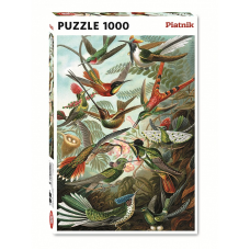 PIATNIK Puzle 1000 Haekels Kolibri