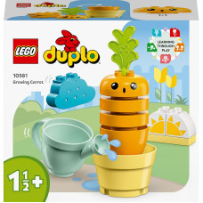 10981 LEGO® DUPLO My First Augošais burkāns