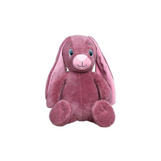 My Teddy mīkstā rotaļlieta My Newborn Bunny 30cm NBPL-L