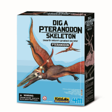 4M craft kit Dig a Pteranodon skeleton 00-03459