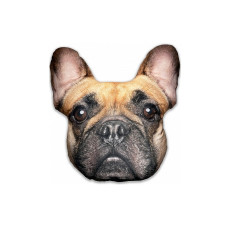 SPLAT PLANET spilvens 40x50cm FRENCH BULLDOG SP44808