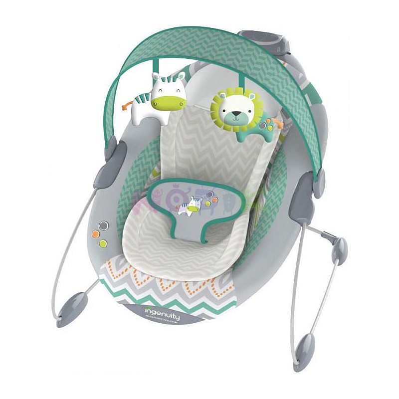 BRIGHT STARTS šūpuļkresliņš, 10209