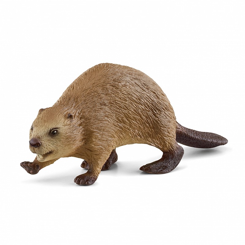 SCHLEICH WILD LIFE figūriņa Bebrs